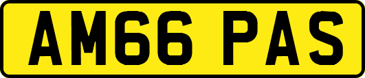 AM66PAS