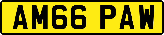 AM66PAW