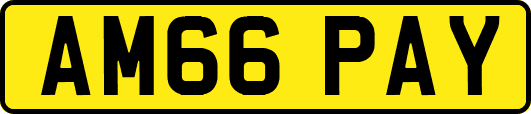 AM66PAY