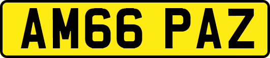 AM66PAZ