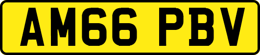 AM66PBV