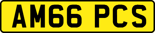 AM66PCS