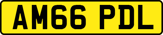 AM66PDL