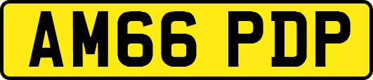 AM66PDP