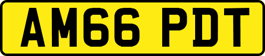 AM66PDT