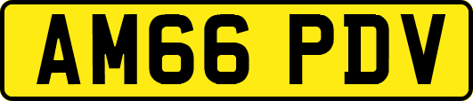 AM66PDV