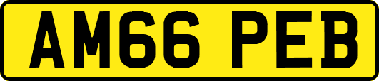 AM66PEB