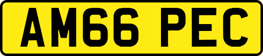 AM66PEC