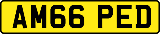 AM66PED