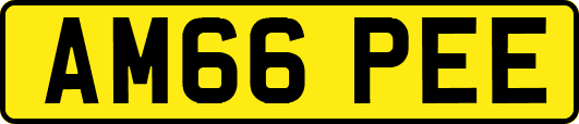 AM66PEE