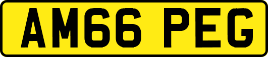 AM66PEG