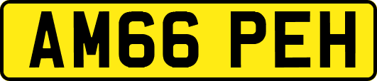 AM66PEH