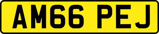 AM66PEJ