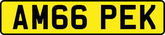AM66PEK