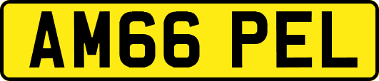 AM66PEL