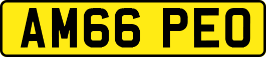 AM66PEO