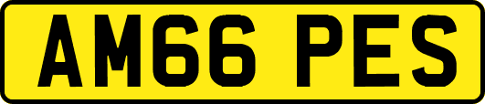 AM66PES