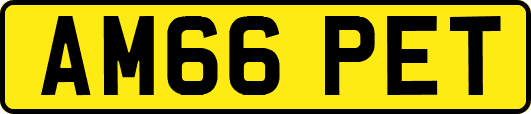 AM66PET