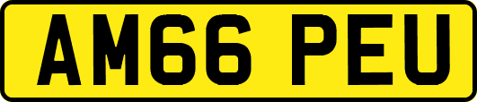 AM66PEU