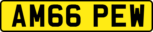 AM66PEW