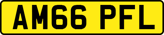 AM66PFL