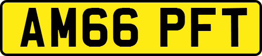 AM66PFT