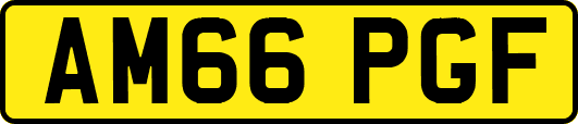 AM66PGF