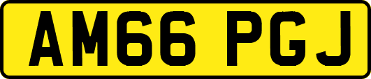 AM66PGJ