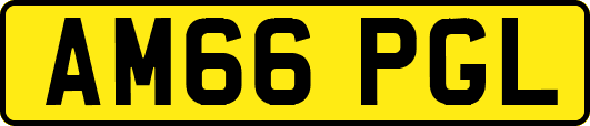 AM66PGL