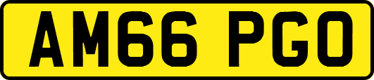 AM66PGO