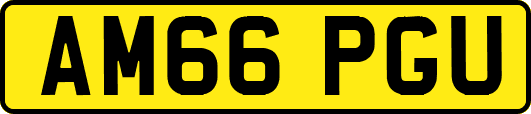 AM66PGU