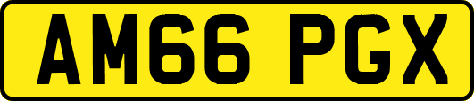 AM66PGX