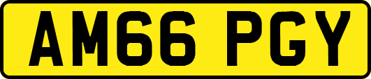 AM66PGY