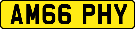 AM66PHY