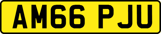 AM66PJU