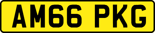 AM66PKG
