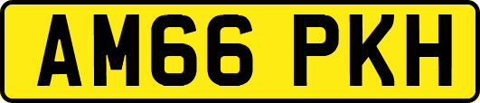 AM66PKH