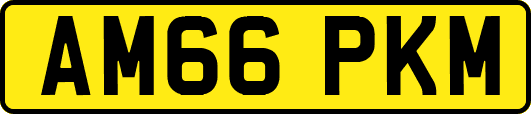 AM66PKM