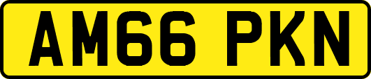 AM66PKN