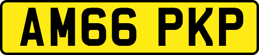 AM66PKP