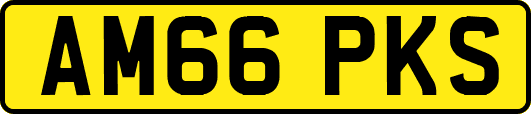 AM66PKS