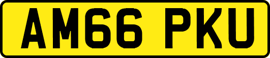 AM66PKU