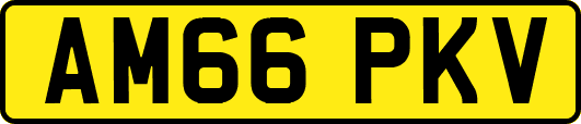 AM66PKV