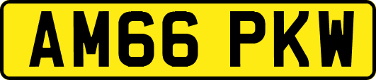 AM66PKW