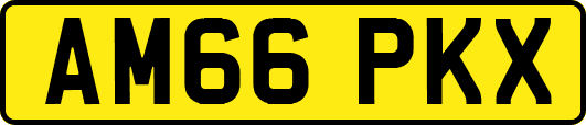 AM66PKX