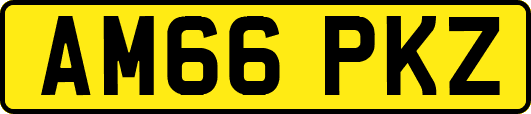 AM66PKZ