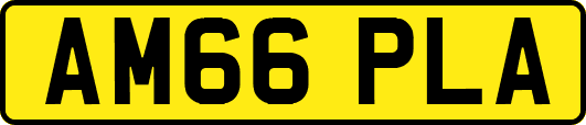 AM66PLA
