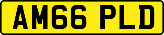 AM66PLD