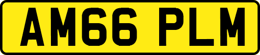 AM66PLM