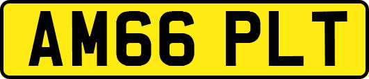 AM66PLT